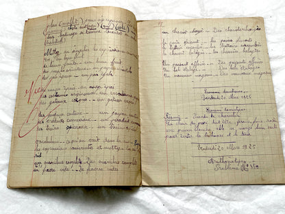 1920s - Vintage French School Notebook - Young Girl's Handwritten Exercises - Arithmetic - History - Language