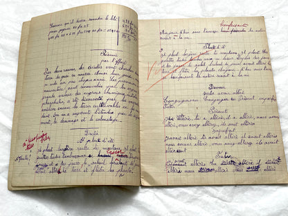 1920s - French Girl's School Notebook - Authentic Vintage French School Exercise Book - Historical Handwritten Education Ephemera