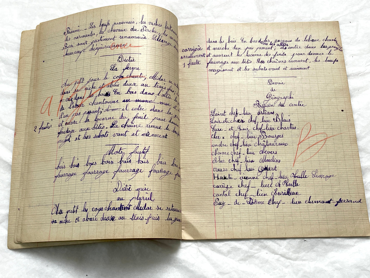 1920s - French Girl's School Notebook - Authentic Vintage French School Exercise Book - Historical Handwritten Education Ephemera