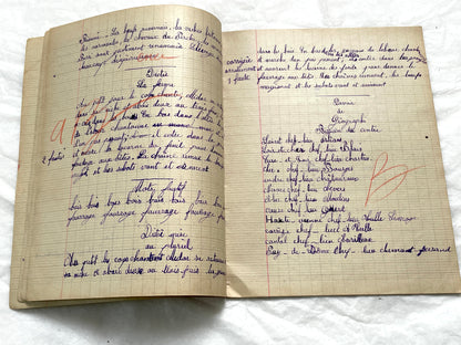 1920s - French Girl's School Notebook - Authentic Vintage French School Exercise Book - Historical Handwritten Education Ephemera