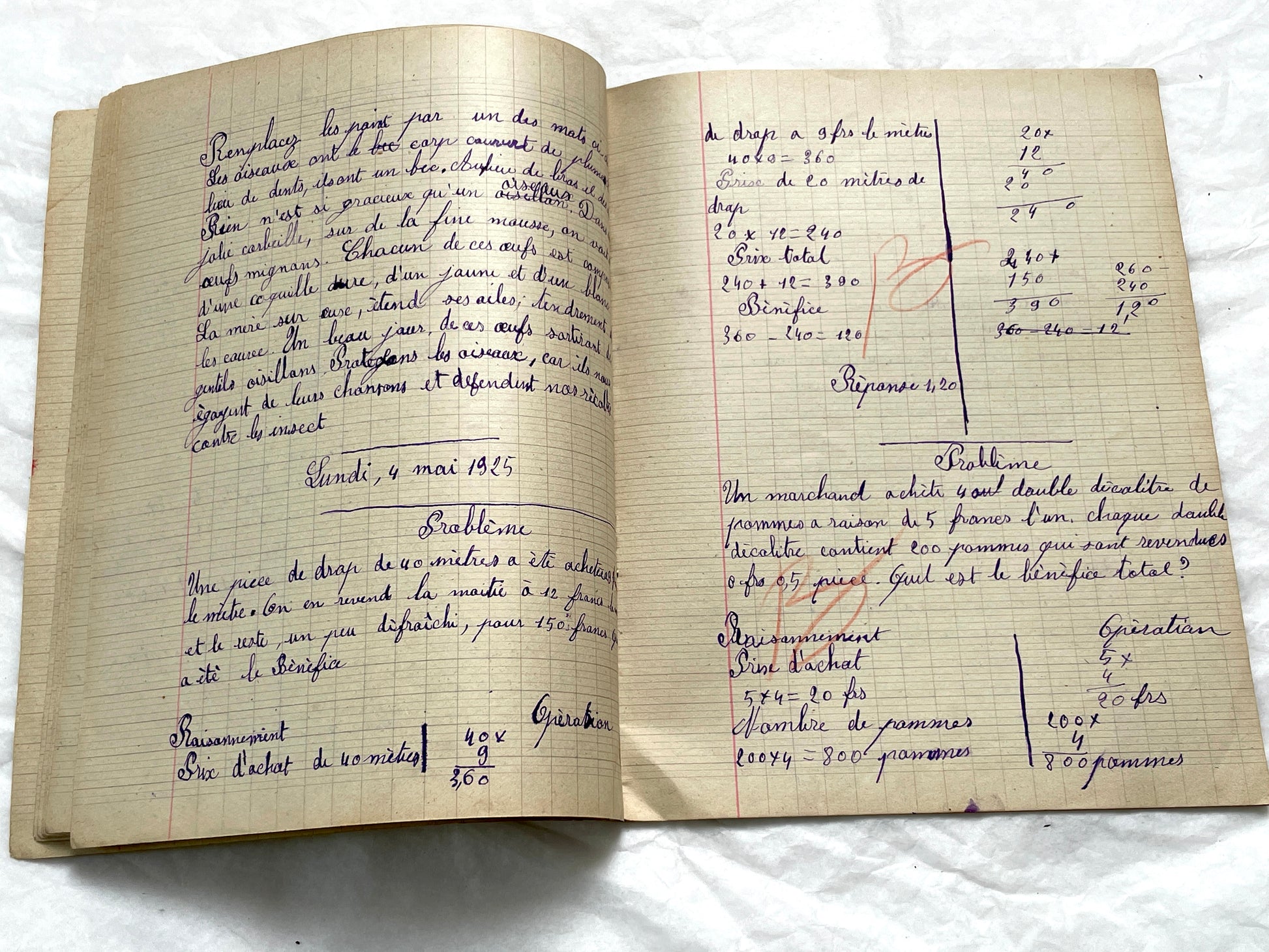 1920s - French Girl's School Notebook - Authentic Vintage French School Exercise Book - Historical Handwritten Education Ephemera