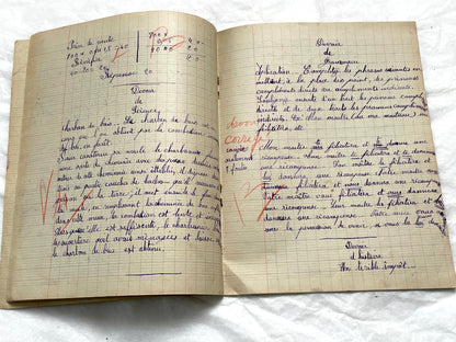 1920s - French Girl's School Notebook - Authentic Vintage French School Exercise Book - Historical Handwritten Education Ephemera
