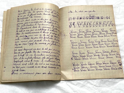 1920s - French Girl's School Notebook - Authentic Vintage French School Exercise Book - Historical Handwritten Education Ephemera