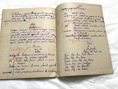 1920s - French Girl's School Notebook - Authentic Vintage French School Exercise Book - Historical Handwritten Education Ephemera