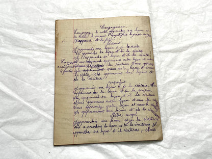 1920s - French Girl's School Notebook - Authentic Vintage French School Exercise Book - Historical Handwritten Education Ephemera