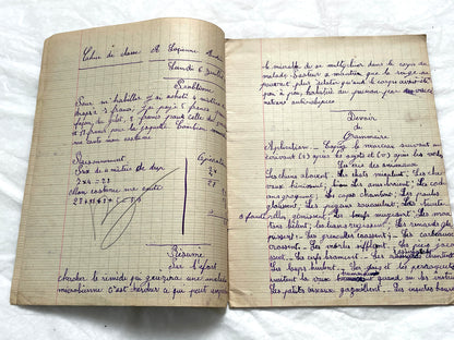 1920s - Historic French Schoolgirl's Handwritten Notebook - Math, Grammar, Geography, Drawings - Vintage Paper Ephemera from France