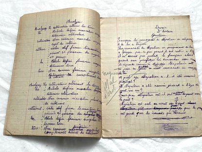 1920s - Historic French Schoolgirl's Handwritten Notebook - Math, Grammar, Geography, Drawings - Vintage Paper Ephemera from France