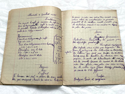 1920s - Historic French Schoolgirl's Handwritten Notebook - Math, Grammar, Geography, Drawings - Vintage Paper Ephemera from France