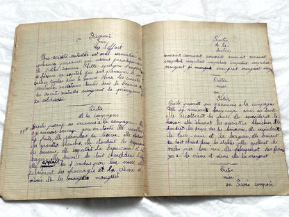 1920s - Historic French Schoolgirl's Handwritten Notebook - Math, Grammar, Geography, Drawings - Vintage Paper Ephemera from France