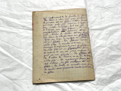 1920s - Historic French Schoolgirl's Handwritten Notebook - Math, Grammar, Geography, Drawings - Vintage Paper Ephemera from France