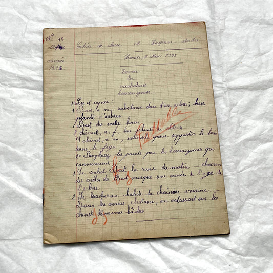 1920s - French School Notebook Handwritten Exercises - Young Girl's Vintage Educational Ephemera France Classroom History