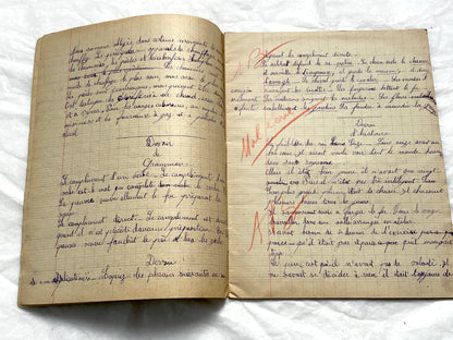 1920s - French School Notebook Handwritten Exercises - Young Girl's Vintage Educational Ephemera France Classroom History