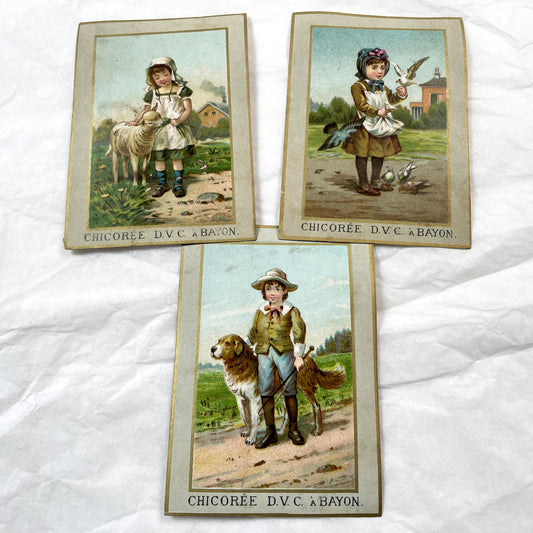 Late 19th Century - Three French Advertising Chromos - Chicoree Bayon Trade Cards - Vintage Children And Animal Art - Collectible Ephemera