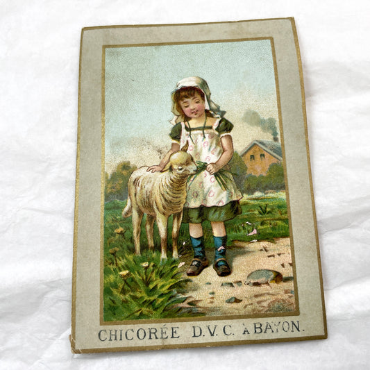 Late 19th Century - Three French Advertising Chromos - Chicoree Bayon Trade Cards - Vintage Children And Animal Art - Collectible Ephemera
