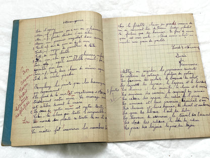 1920s - French School Notebook - Young Girl's Handwritten Lessons from 1925 France - Authentic Vintage Educational Ephemera