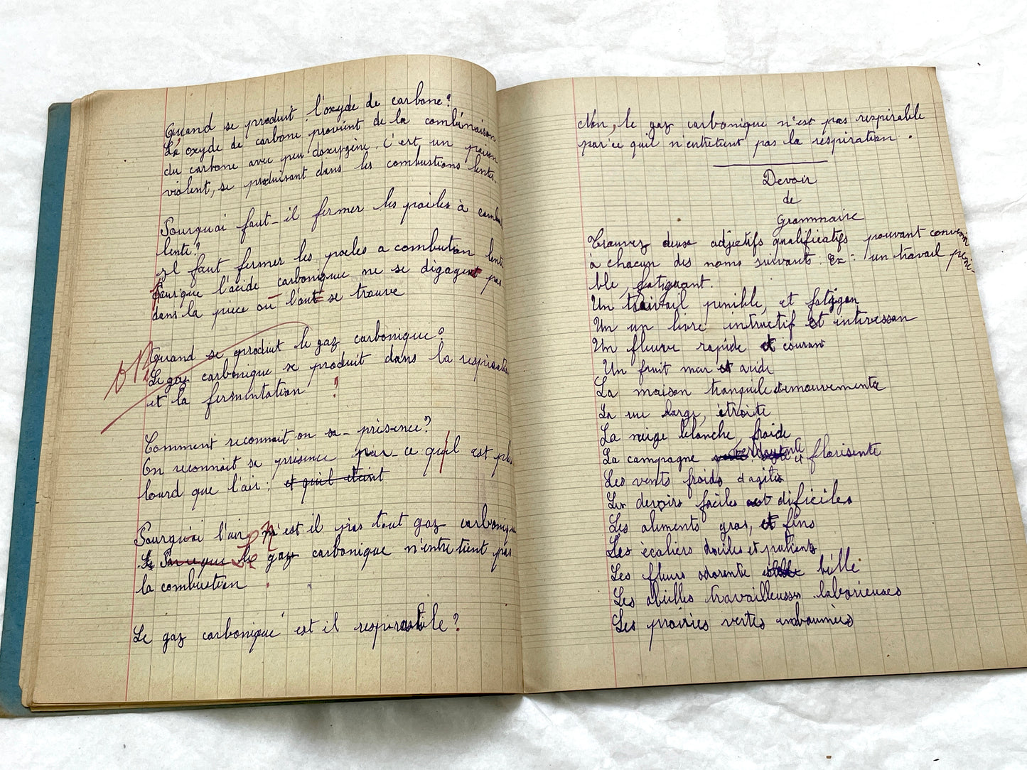 1920s - French School Notebook - Young Girl's Handwritten Lessons from 1925 France - Authentic Vintage Educational Ephemera