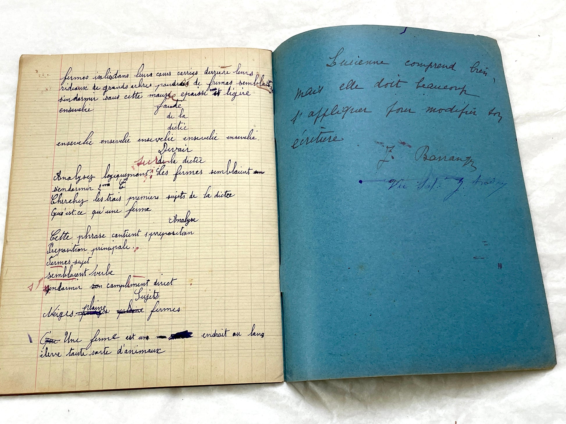 1920s - French School Notebook - Young Girl's Handwritten Lessons from 1925 France - Authentic Vintage Educational Ephemera