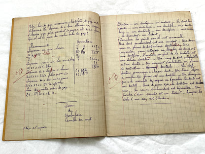 1920s - French School Notebook - Young Girl's Handwritten Lessons in French, Geography, and Math - Vintage Education Ephemera