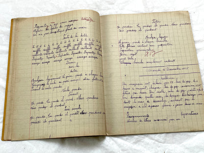 1920s - French School Notebook - Young Girl's Handwritten Lessons in French, Geography, and Math - Vintage Education Ephemera