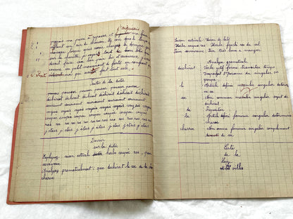 1920s - French Schoolgirl's Antique Class Notebook - Handwritten Lessons & Maps - Vintage Educational Ephemera Manuscript Journal