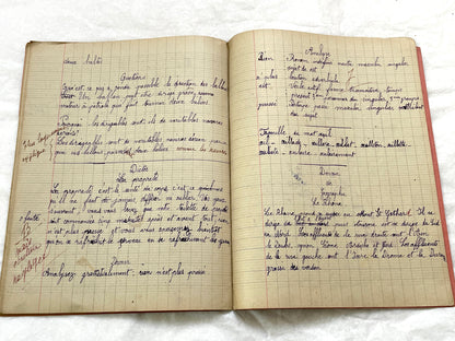 1920s - French Schoolgirl's Antique Class Notebook - Handwritten Lessons & Maps - Vintage Educational Ephemera Manuscript Journal