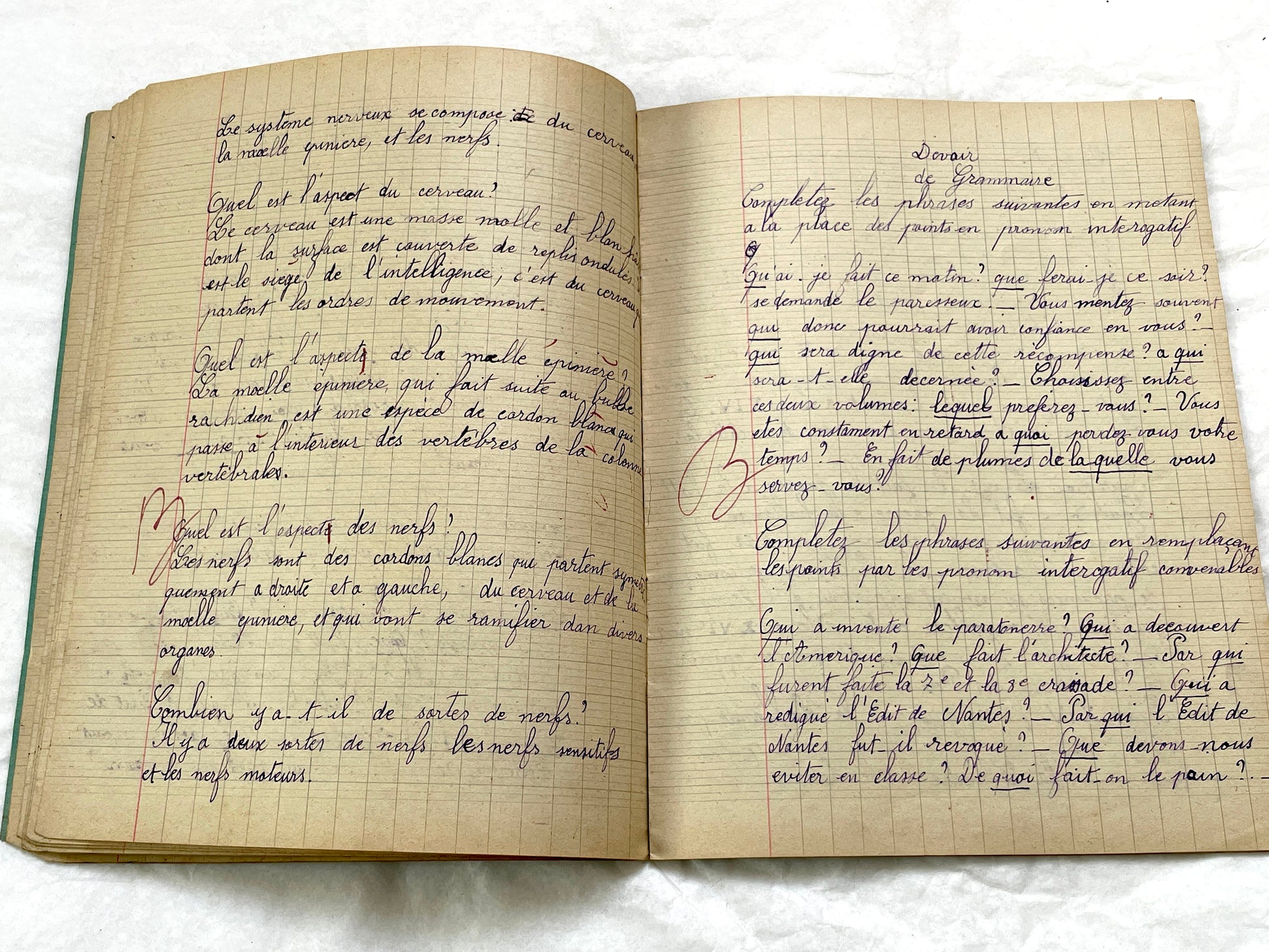 1920s - Vintage French School Notebook - Young Girl's Handwritten Exercises - Historic Classroom Ephemera - Daily Life in France