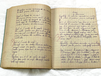 1920s - Vintage French School Notebook - Young Girl's Handwritten Exercises - Historic Classroom Ephemera - Daily Life in France