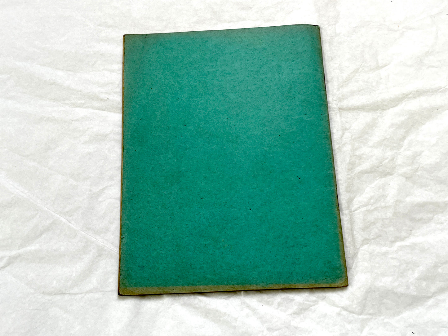 1920s - Vintage French School Notebook - Young Girl's Handwritten Exercises - Historic Classroom Ephemera - Daily Life in France