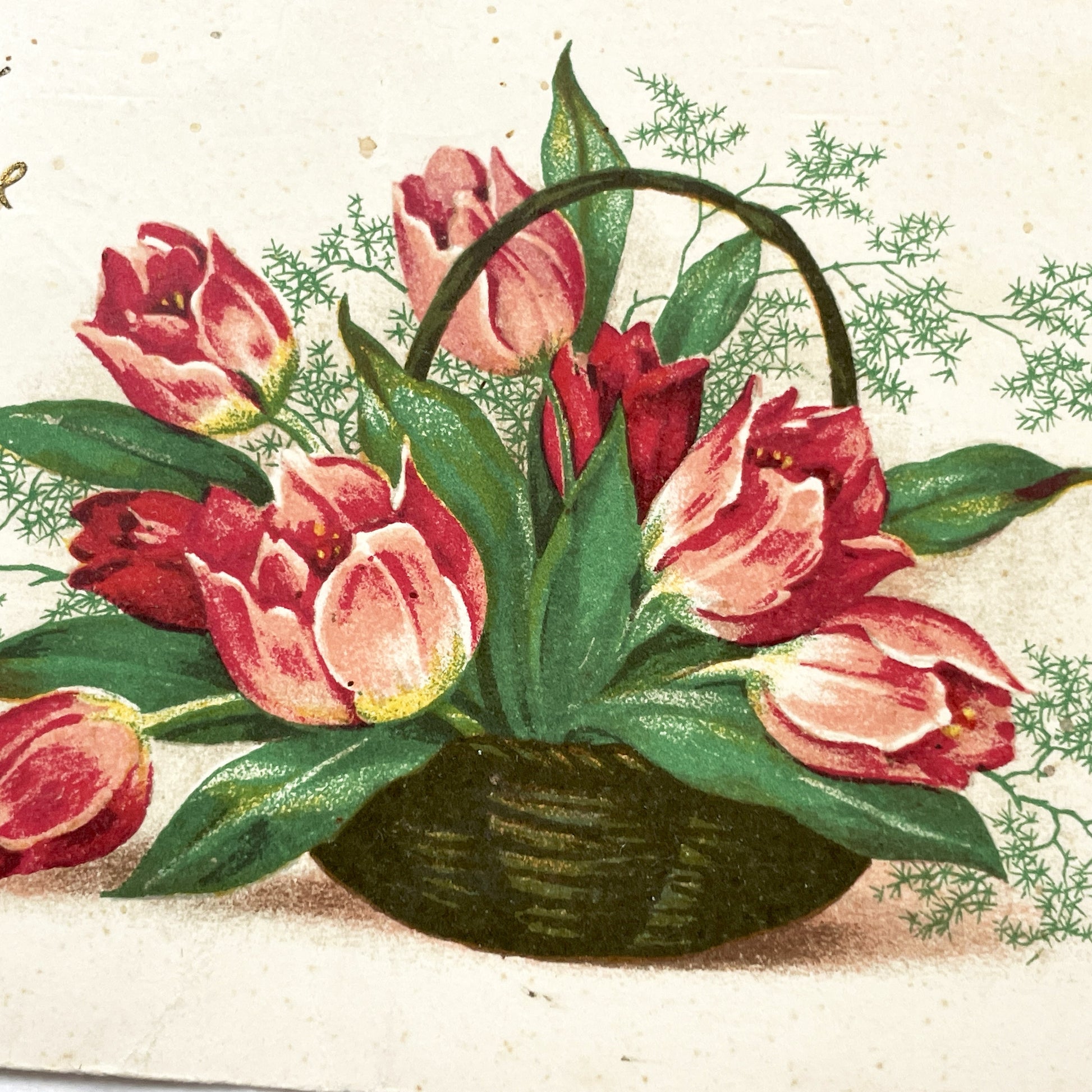 1950s - Vintage French Birthday Postcard - Antique Floral Tulips Basket - Art Nouveau Era Chromo-Lithograph - Heureux Anniversaire Card