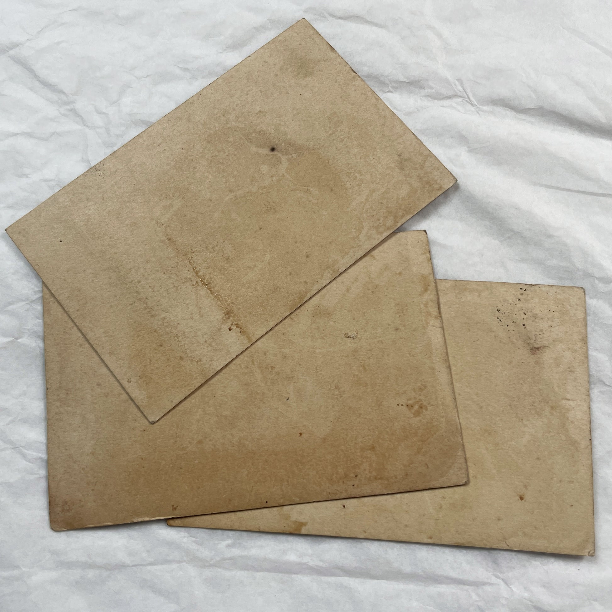 Late 19th - Three Chromolithograph Cards - Equestrian Horse Riding Carriages - Victorian Lifestyle Collectible Set - Golden Edged Decorative