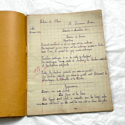 1920s - French School Notebook - Student's Cahier de Classe - Young Girl's Lessons - All Pages Photographed
