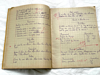 1920s - French School Notebook - Student's Cahier de Classe - Young Girl's Lessons - All Pages Photographed