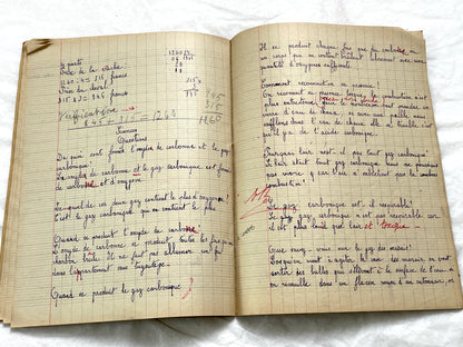 1920s - French School Notebook - Student's Cahier de Classe - Young Girl's Lessons - All Pages Photographed