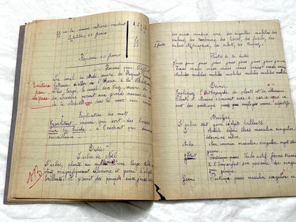 1920s - French Schoolgirl's Notebook - Vintage French Manuscript - Primary Education Ephemera - Daily Life Document