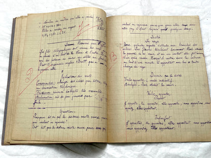1920s - French Schoolgirl's Notebook - Vintage French Manuscript - Primary Education Ephemera - Daily Life Document