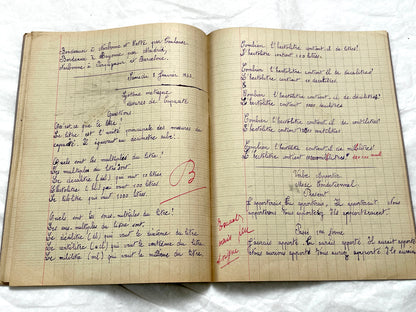 1920s - French Schoolgirl's Notebook - Vintage French Manuscript - Primary Education Ephemera - Daily Life Document