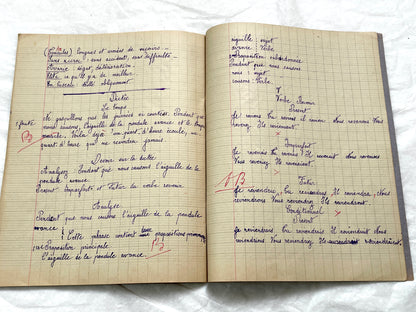 1920s - French Schoolgirl's Notebook - Vintage French Manuscript - Primary Education Ephemera - Daily Life Document