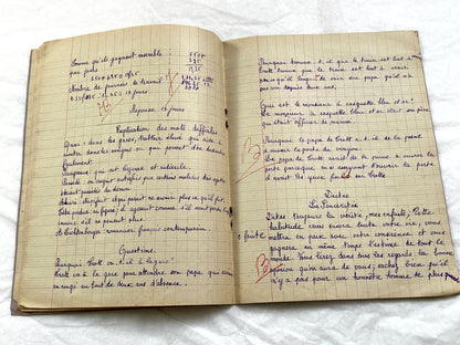 1920s - French School Notebook - Young Girl's Handwritten Exercises - Vintage Educational Ephemera - History