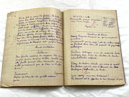 1920s - French School Notebook - Young Girl's Handwritten Exercises - Vintage Educational Ephemera - History