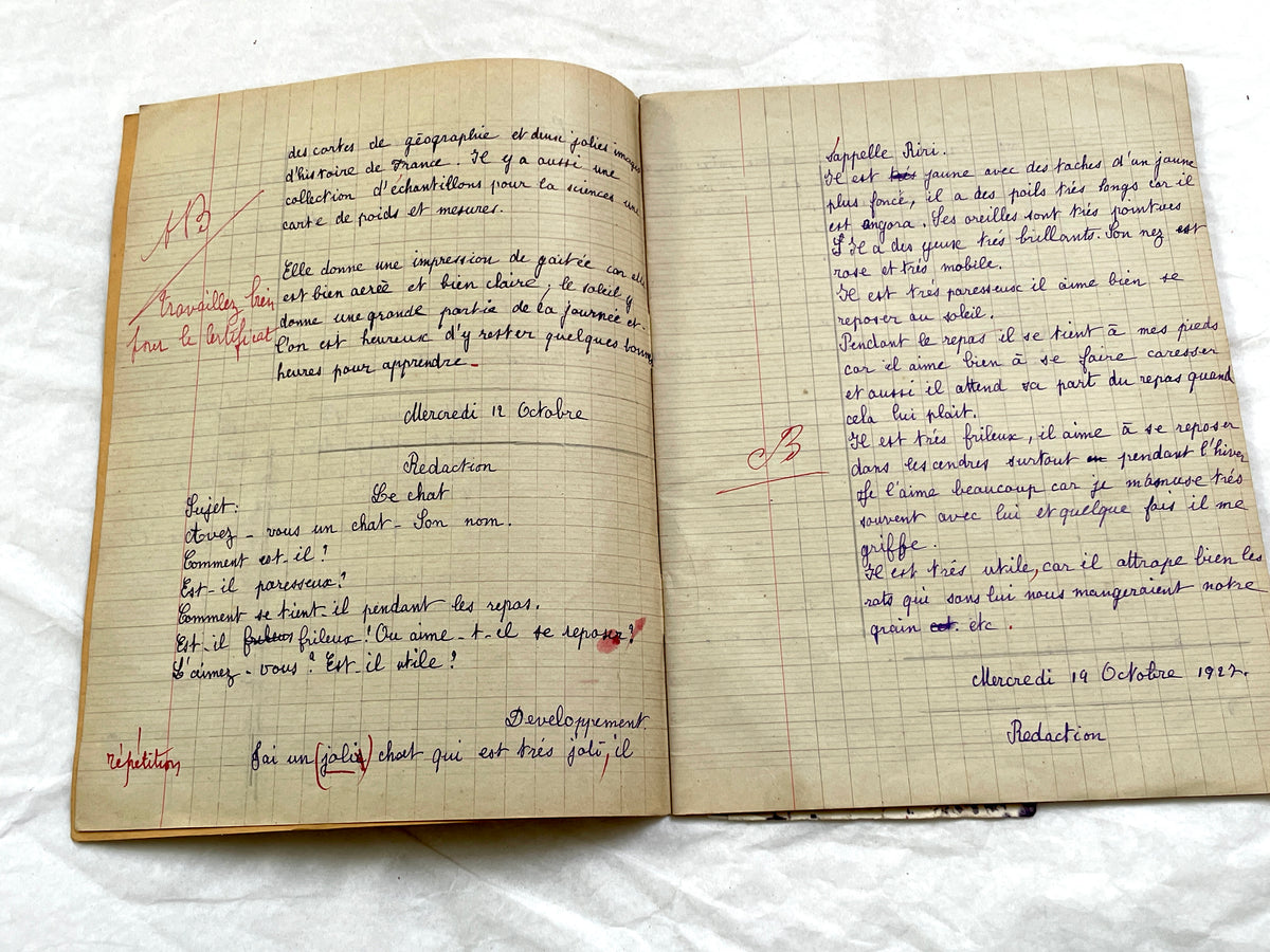 1920s - French Schoolgirl's Composition Notebook - Vintage French School Ephemera - Original Handwriting