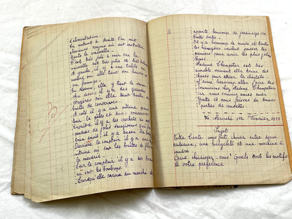 1920s - French Schoolgirl's Composition Notebook - Vintage French School Ephemera - Original Handwriting