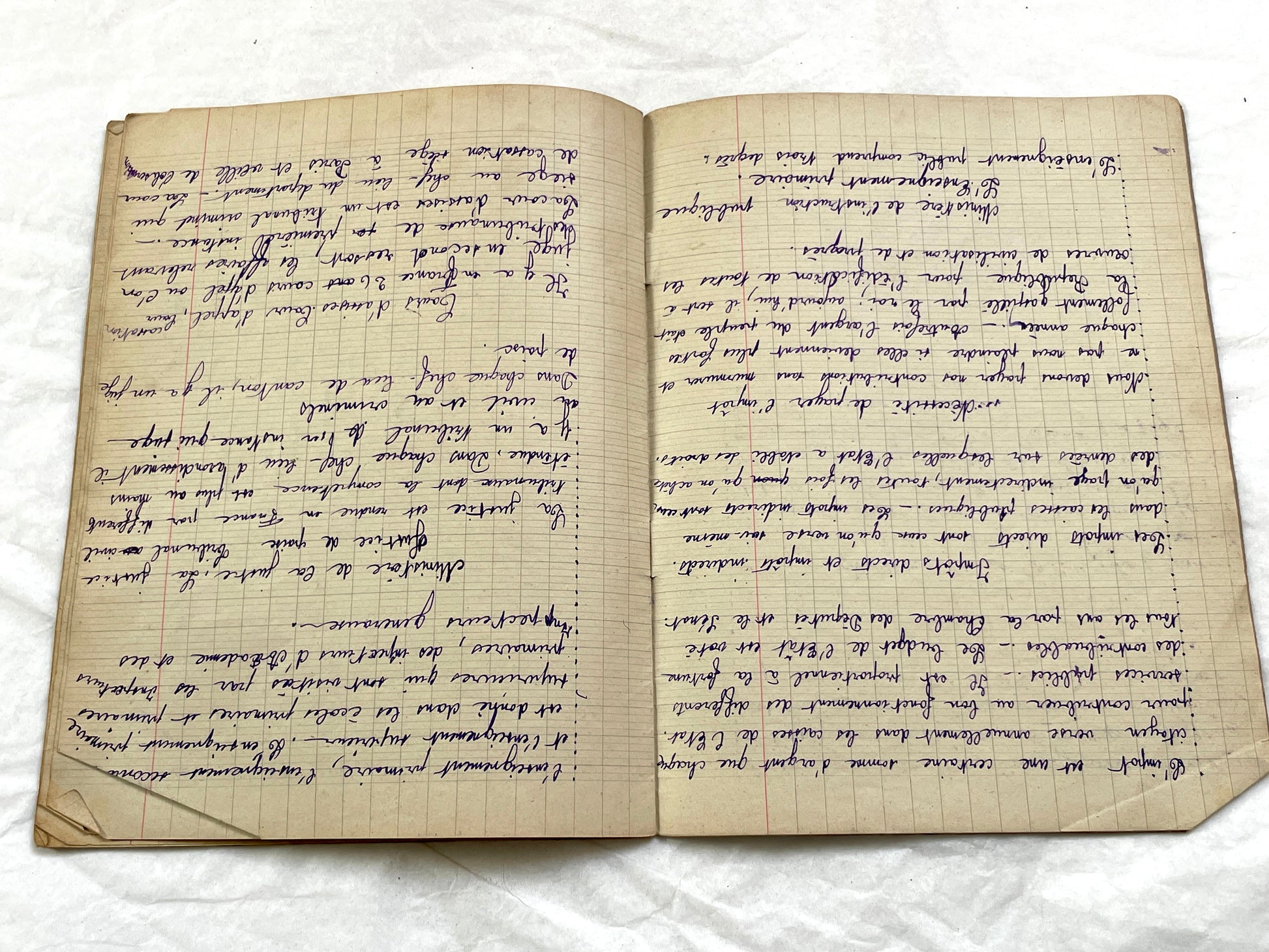 1920s - French School Notebook - Young Girl's Lessons on Morals and Civic Duty From 1926 France - All Pages Photographed