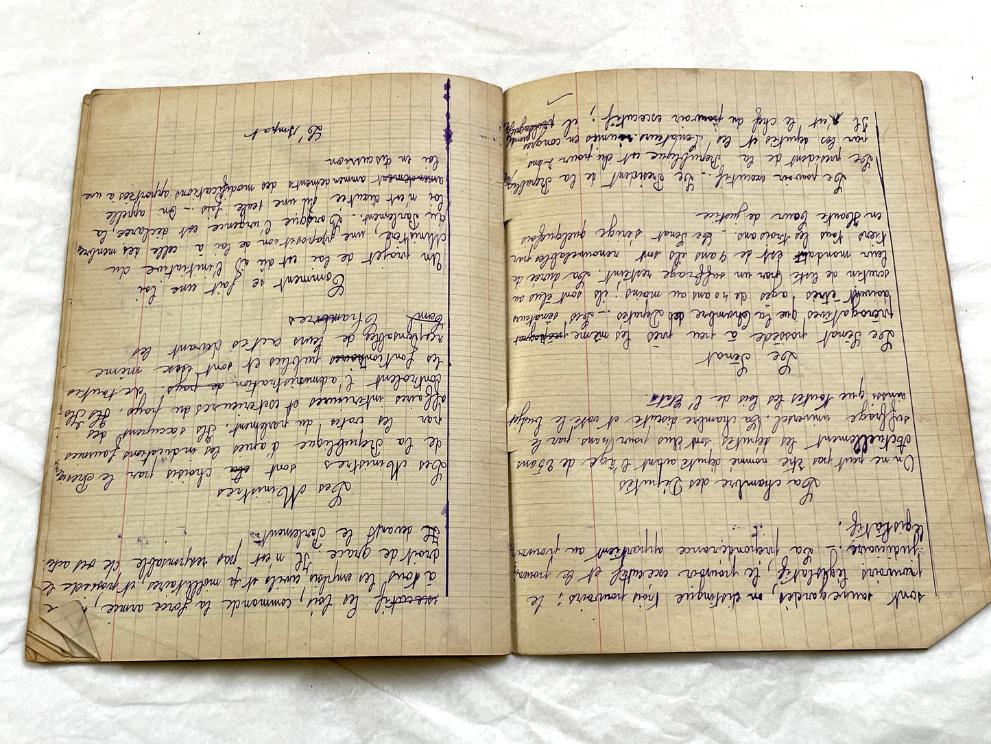 1920s - French School Notebook - Young Girl's Lessons on Morals and Civic Duty From 1926 France - All Pages Photographed