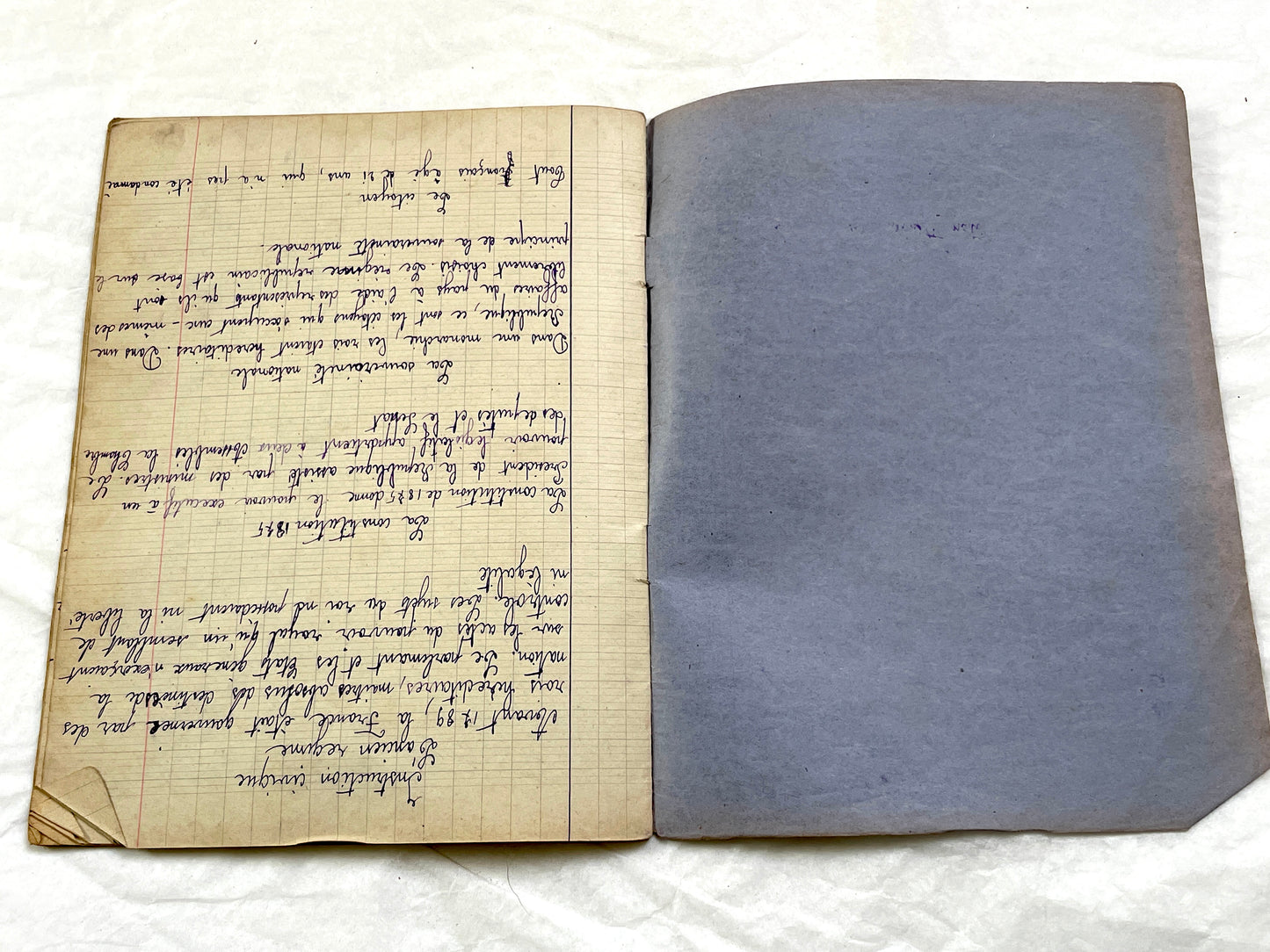 1920s - French School Notebook - Young Girl's Lessons on Morals and Civic Duty From 1926 France - All Pages Photographed