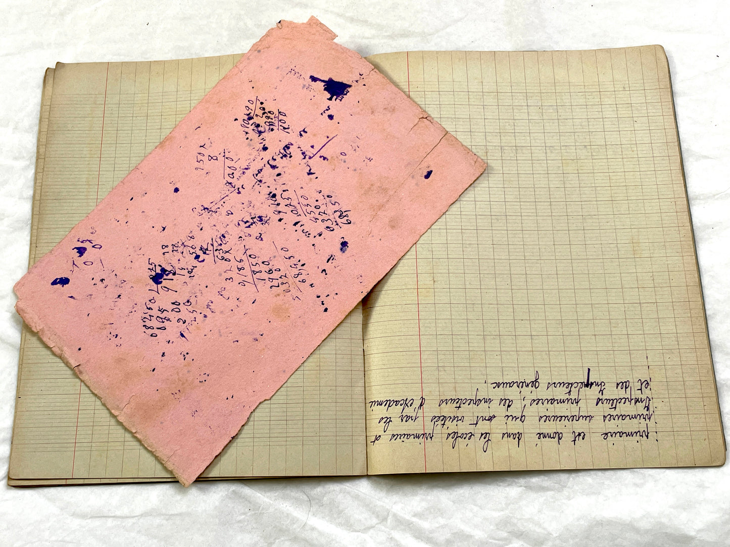 1920s - French School Notebook - Student Morale Class Homework - Vintage French Education - Handwritten Manuscript
