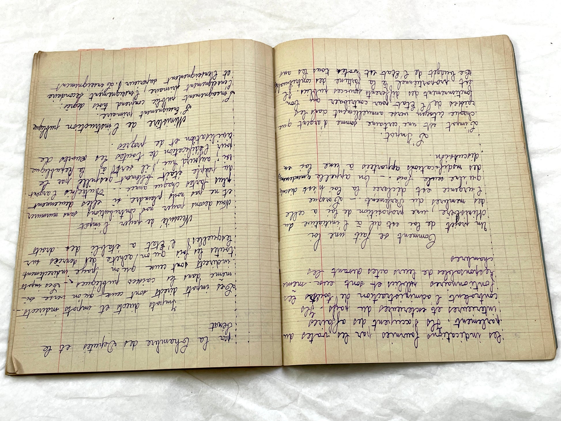 1920s - French School Notebook - Student Morale Class Homework - Vintage French Education - Handwritten Manuscript
