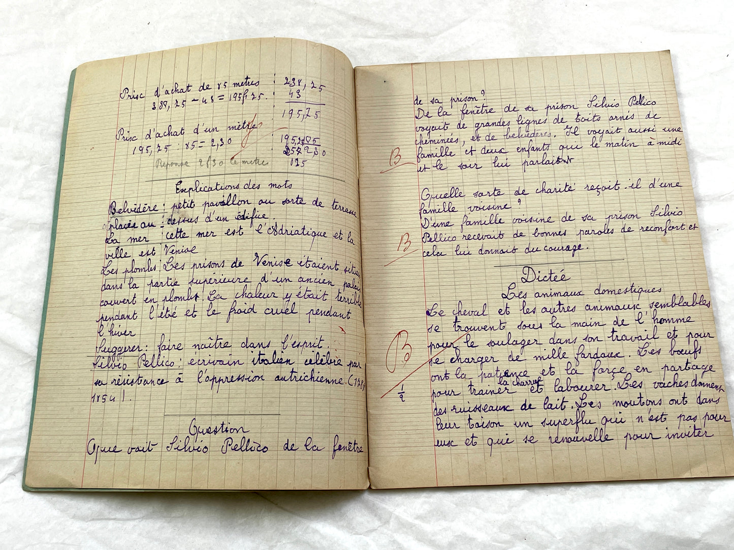 1920s - French School Notebook - Young Girl's Beautiful Handwriting - Vintage Educational Ephemera - French Classroom Memories