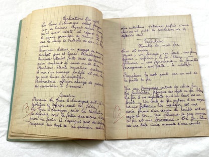 1920s - French School Notebook - Young Girl's Beautiful Handwriting - Vintage Educational Ephemera - French Classroom Memories
