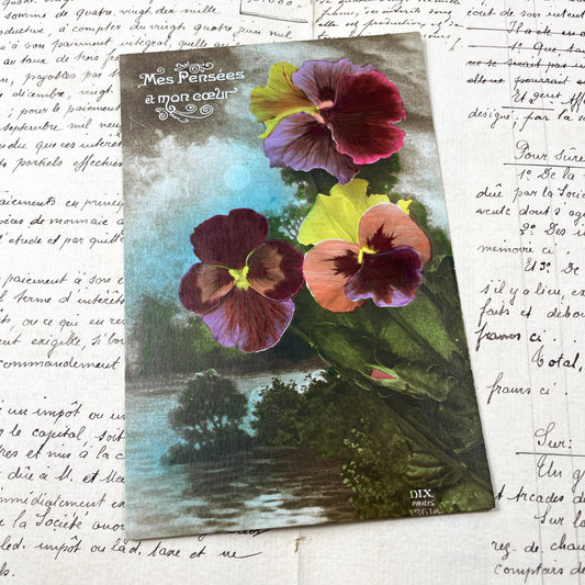 1920s - French Sentimental Postcard - Antique Pansy Flowers - Floral Art Nouveau Era Collectible - Vintage Dix Paris Ephemera