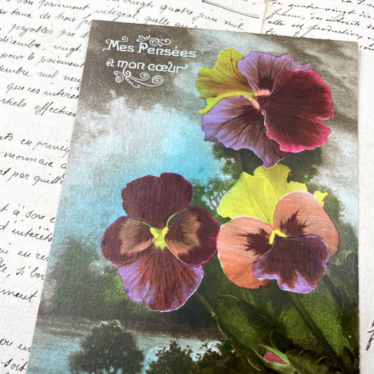 1920s - French Sentimental Postcard - Antique Pansy Flowers - Floral Art Nouveau Era Collectible - Vintage Dix Paris Ephemera
